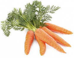 Морковь столовая свежая (ранняя)
